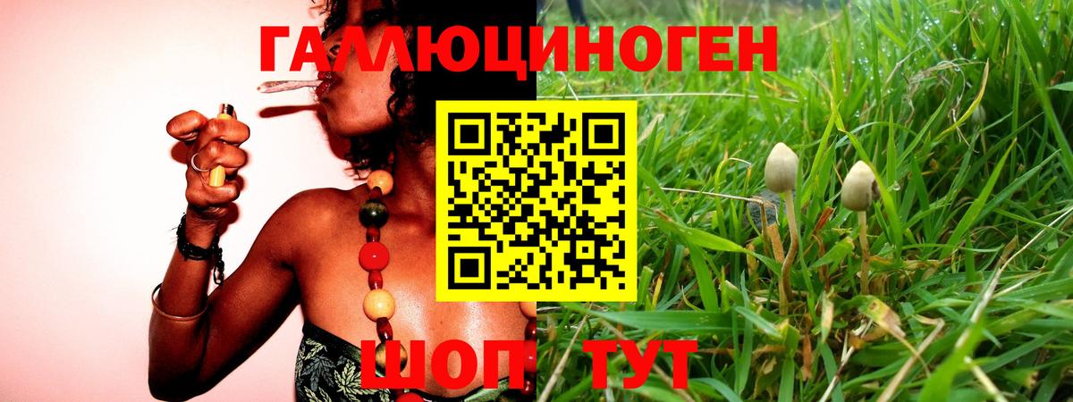 Керчь  Галлюциногенные грибы прущие грибы  купить наркоту  Вход с VPN 