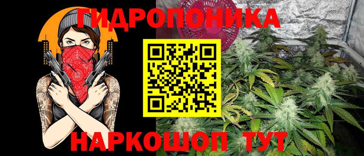 Шишки марихуана гибрид  Вход с VPN  Бошки Шишки конопля  Керчь  Конопля Ganja 